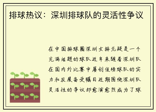 排球热议：深圳排球队的灵活性争议
