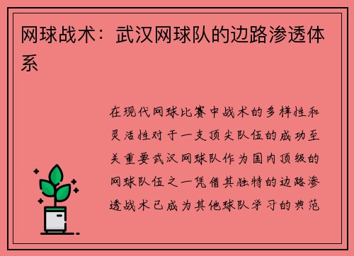 网球战术：武汉网球队的边路渗透体系