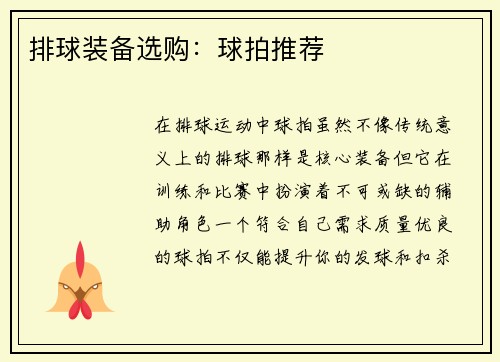 排球装备选购：球拍推荐